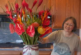 Spring Flowers 20150212 4