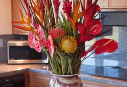 Spring Flowers 20150212 5