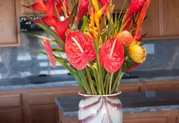 Spring Flowers 20150212 6