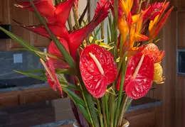 Spring Flowers 20150212 7