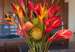 Spring Flowers 20150212