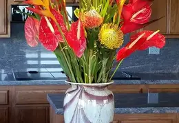 FB IMG 1621005379057