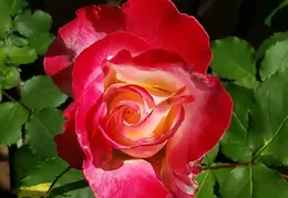 FB IMG 1680591067642