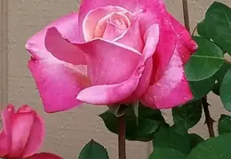 FB IMG 1681551884762