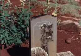 Hawaii Chinese Grave 1