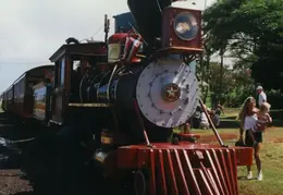 Hawaii Sugar Cane Train 2