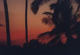 Hawaii Sunset 04