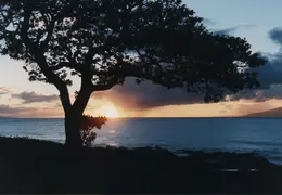 Hawaii Sunset 07