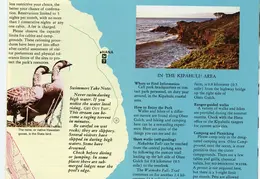 Haleakala National Park Brochure 08