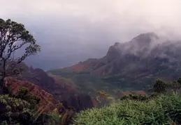 Hawaii Honeymoon 1997 011