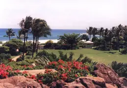 Hawaii Honeymoon 1997 025
