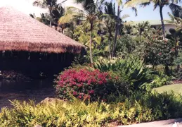 Hawaii Honeymoon 1997 031
