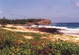 Hawaii Honeymoon 1997 032