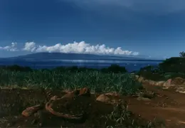 Hawaii Maui 1984 030