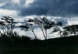 Hawaii Maui 1984 048