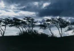 Hawaii Maui 1984 049