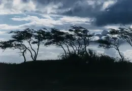Hawaii Maui 1984 050
