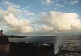 Hawaii w Rose 001