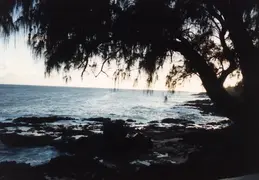 Hawaii w Rose 002