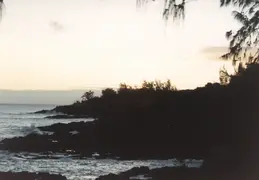 Hawaii w Rose 006