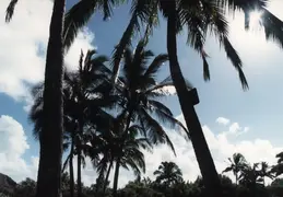 Hawaii w Rose 020