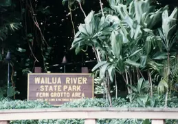 Hawaii w Rose 045