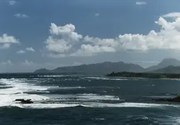 Hawaii w Rose 046