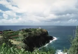 Hawaii w Rose 048