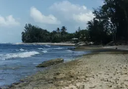 Oahu 014