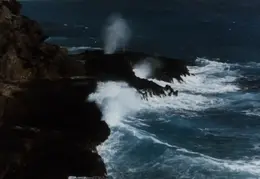 Oahu 028