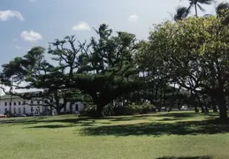 Oahu 041