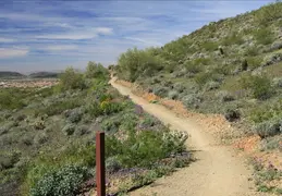 Desert Tortise Trail 01