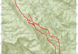 Topo