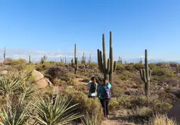 Coyote Trail At Granite Mountain 20231231