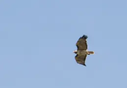 Camera and Lense Testing April 2017 08