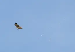 Camera and Lense Testing April 2017 11