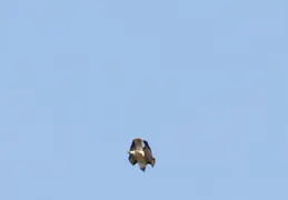 Camera and Lense Testing April 2017 14
