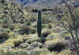 0Z9A0014