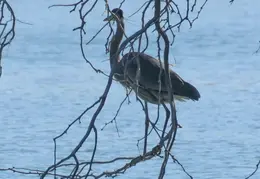 0Z9A0058