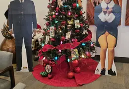 Elf In Fountain Hills AZ