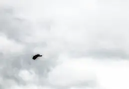 F-15 Flyover 20200513 18