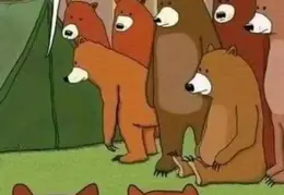Bears Looking at Tents