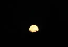 Full Moon 20200407 12