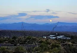 Yellow Moon 20231226