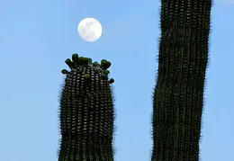 Moon 20240521 02