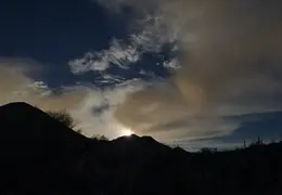 20241017 054240