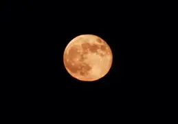 20241017 181219