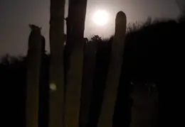 Moon 20250513 01
