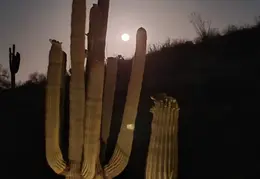 Moon 20250513 02
