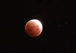 Moon Eclipse 20210526 36